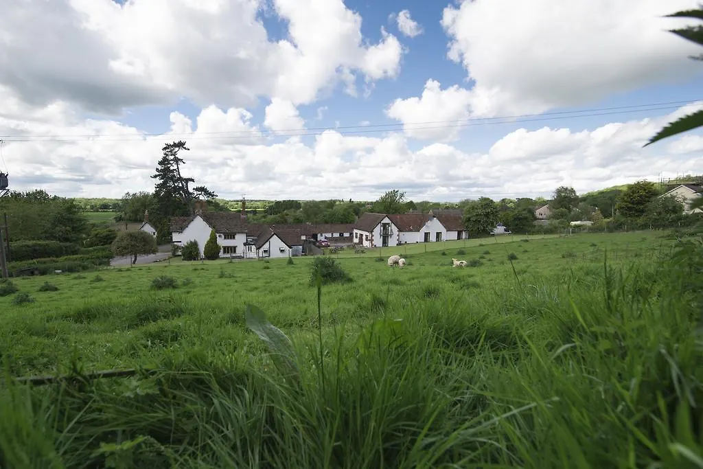 The White Horse Inn-1
